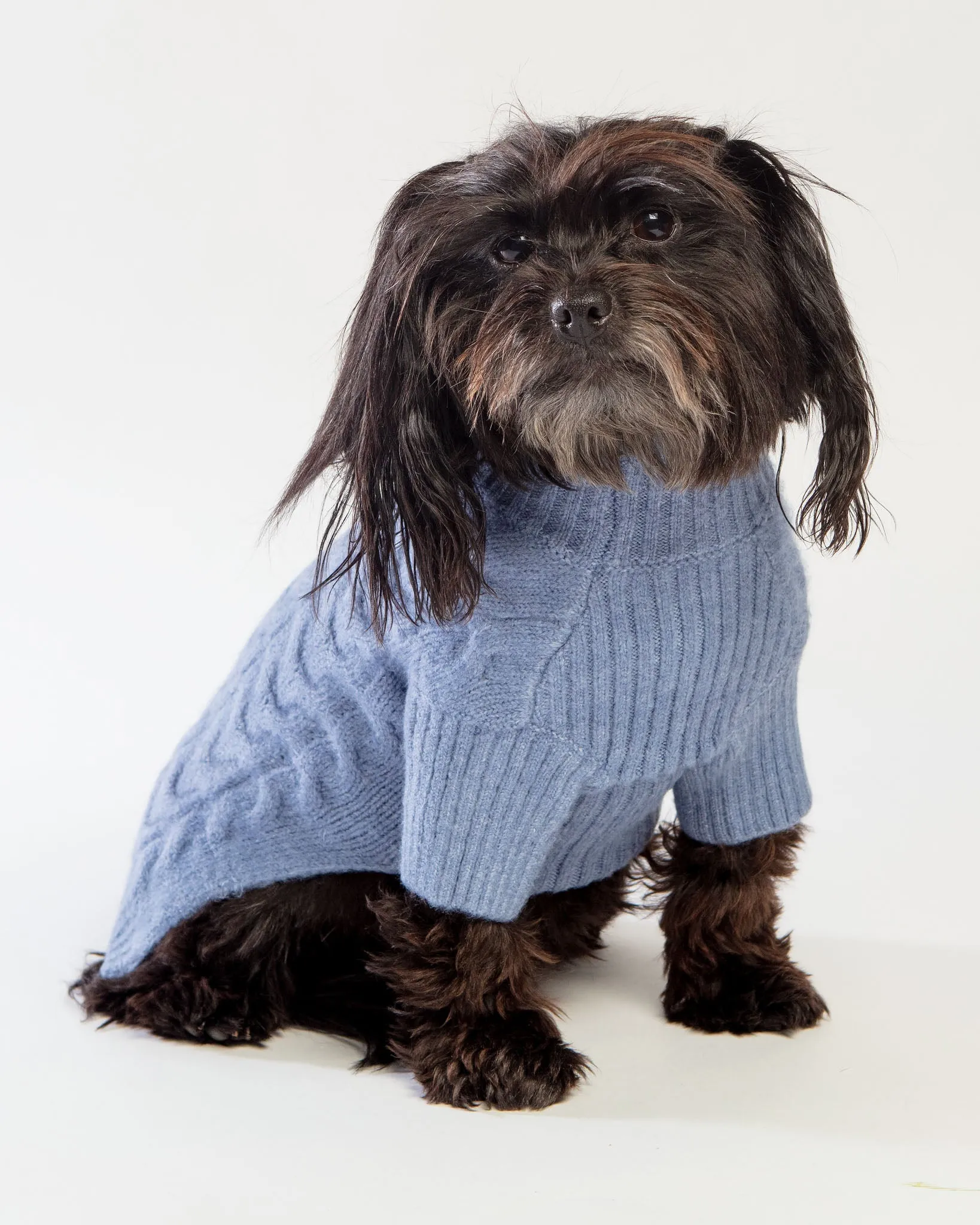 Fuzzy Knit Dog Turtleneck Sweater in Moonstone Blue << CLEARANCE >>